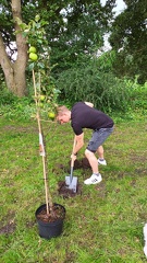 2025-07-26 - GiJuLo - Baumpflanzchallenge-000001
