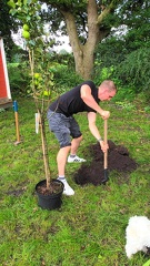 2025-07-26 - GiJuLo - Baumpflanzchallenge-000002